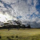 Landscape in eastern Tasmania