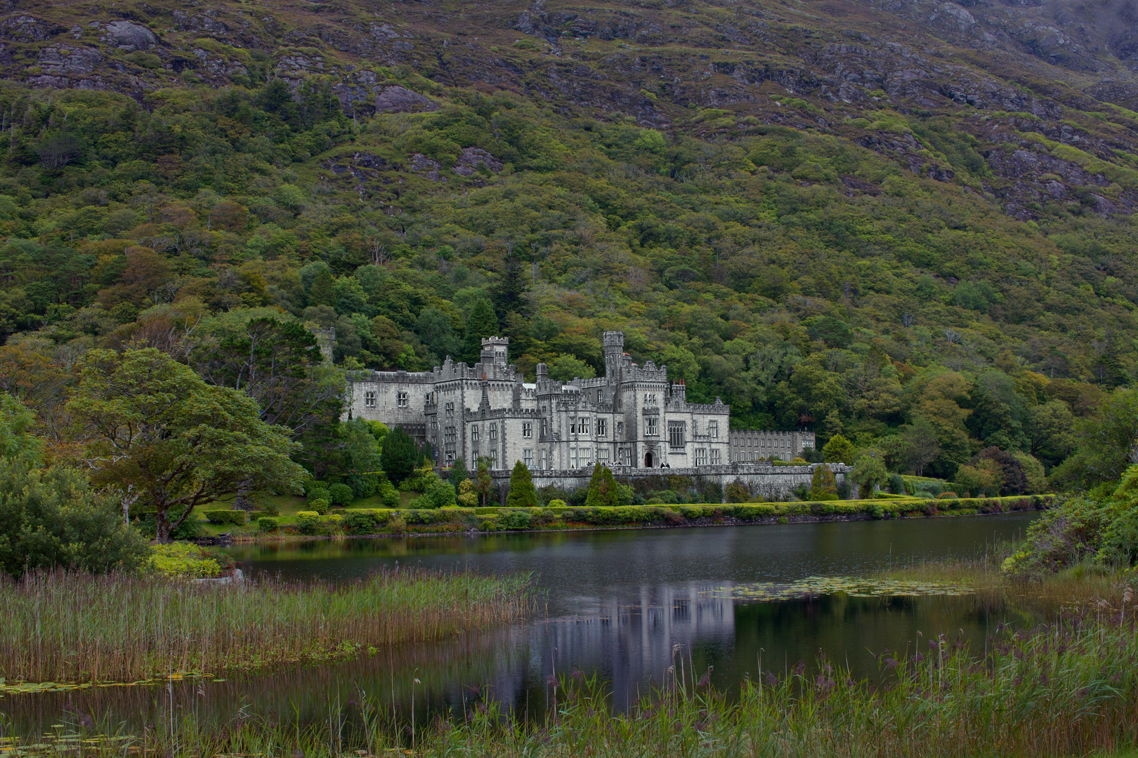 Landscape in Galway