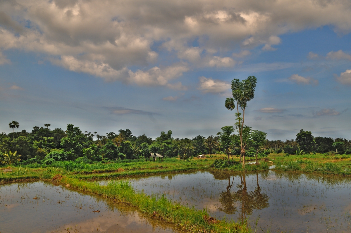 Landscape in Kabupatèn Karangasem