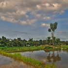 Landscape in Kabupatèn Karangasem