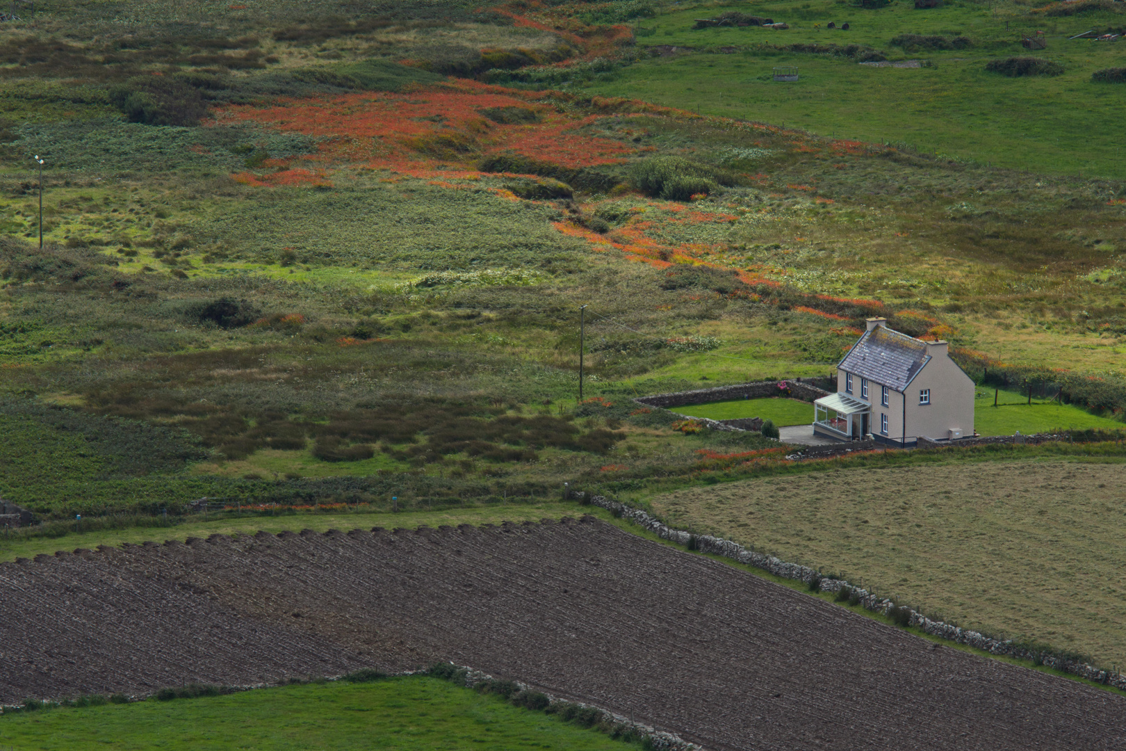 Landscape in Kerry