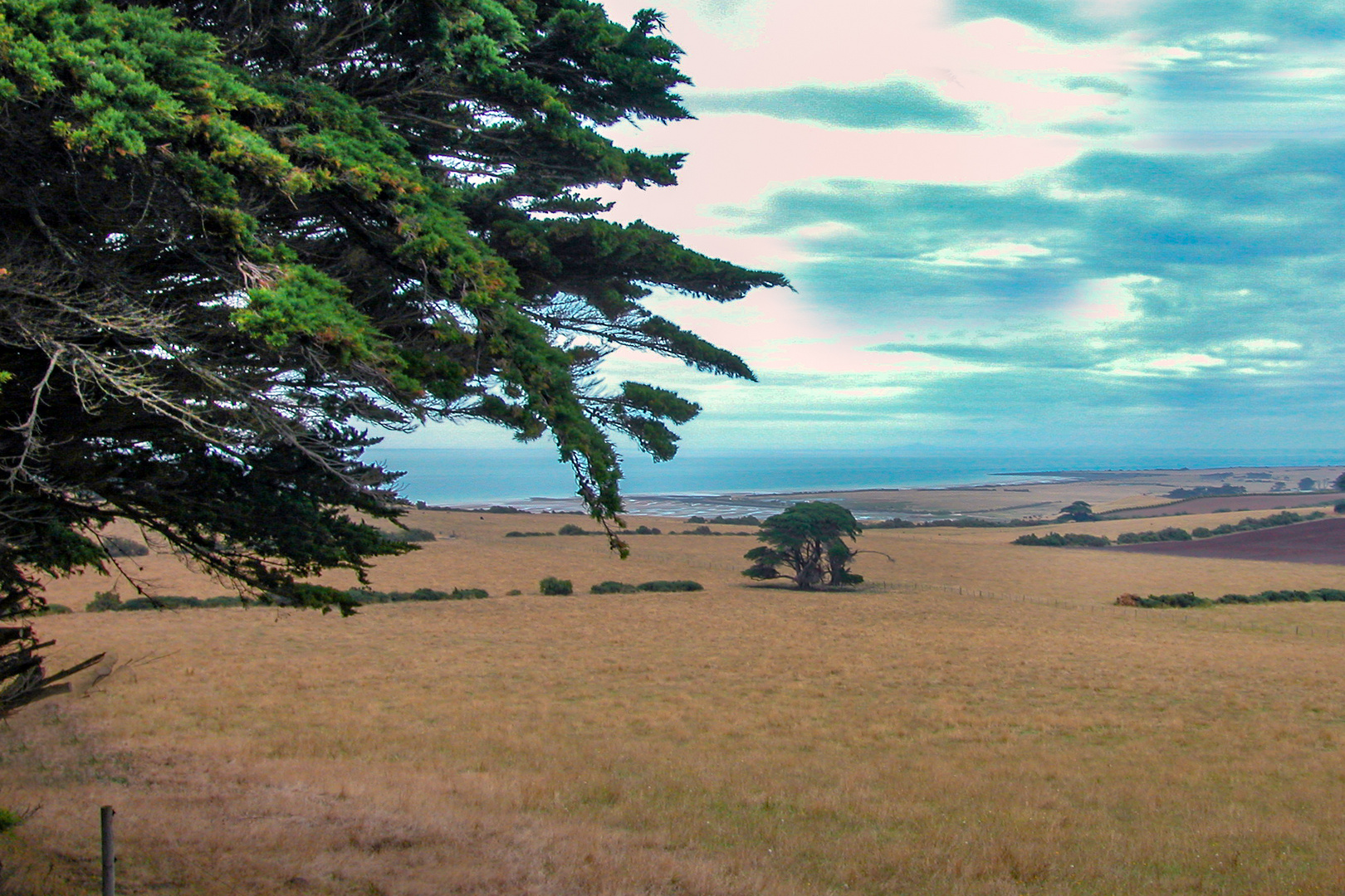 Landscape in northern Tasmania