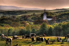 Landscape in Romania