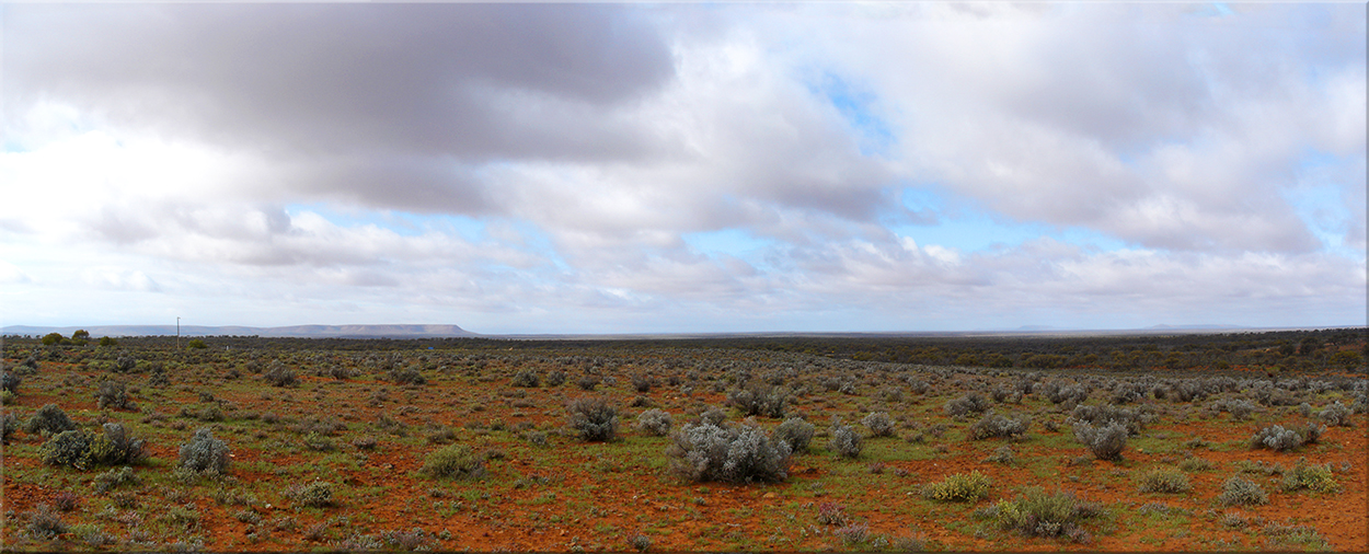 Landscape in SA