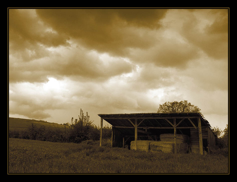 Landscape in sepia