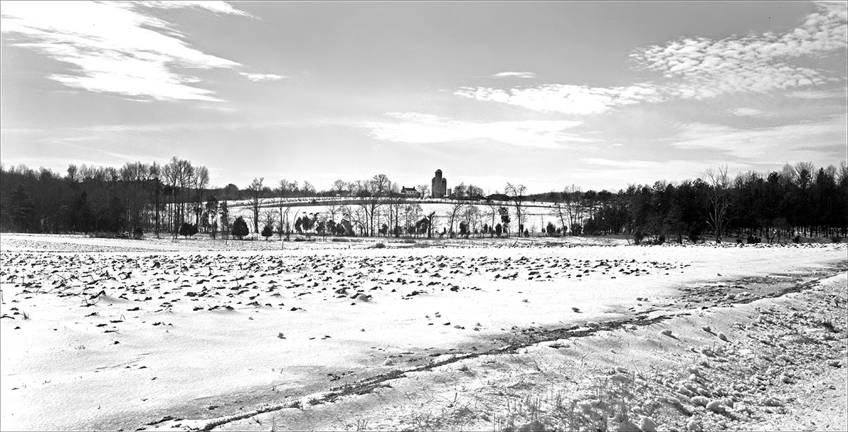 Landscape In Snow