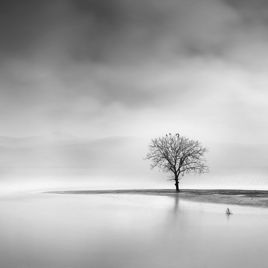 Landscape in the Mist photo & image | landscape, coastal areas, nature ...