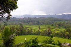 Landscape in the rain in Buleleng regency