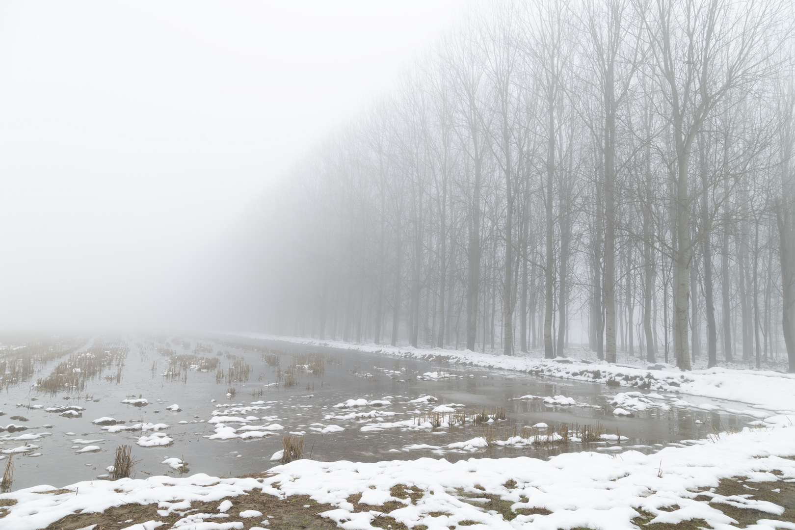 landscape in the snow