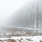 landscape in the snow