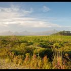 landscape in tsitsikamma