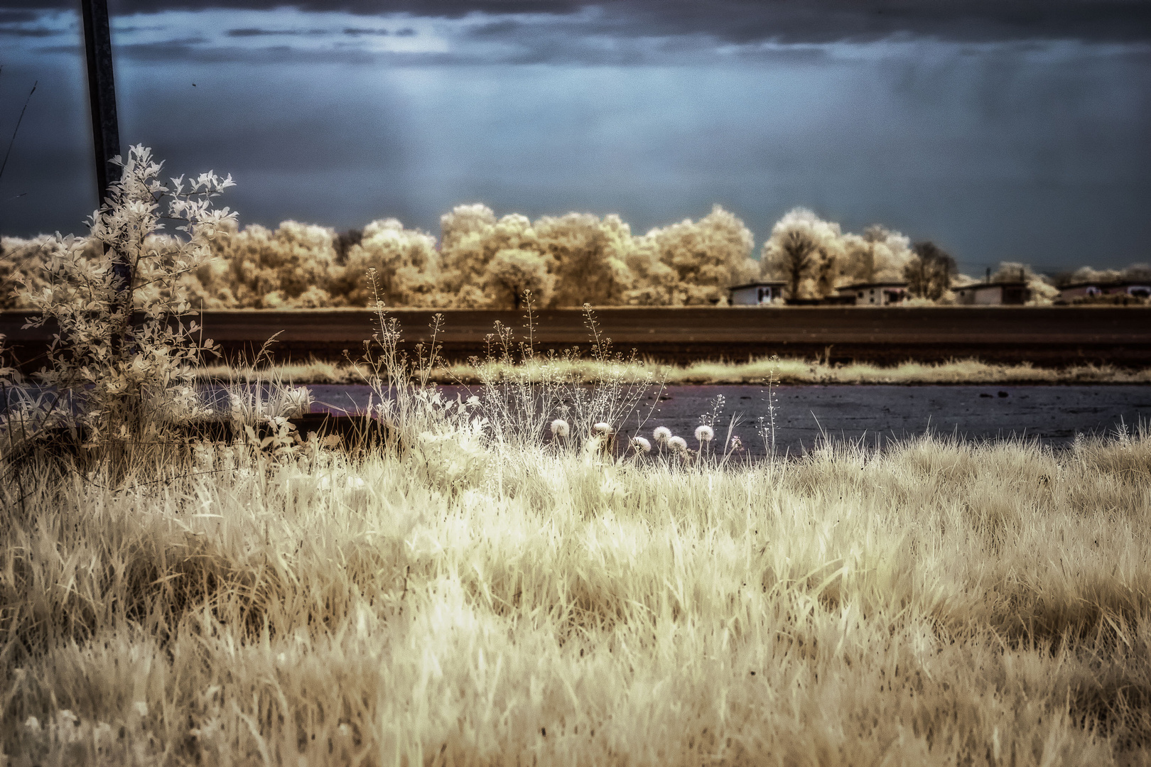 Landscape IR