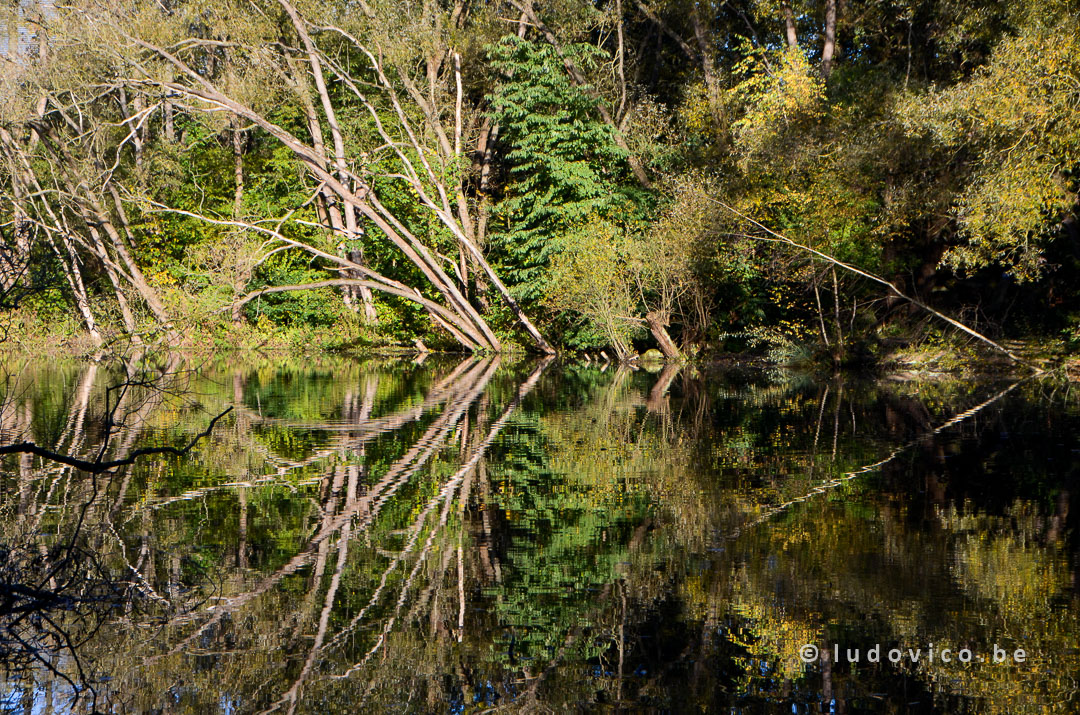 Landscape - Mirror