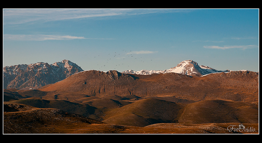 LandScape Mountain