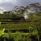 Landscape near Belulang