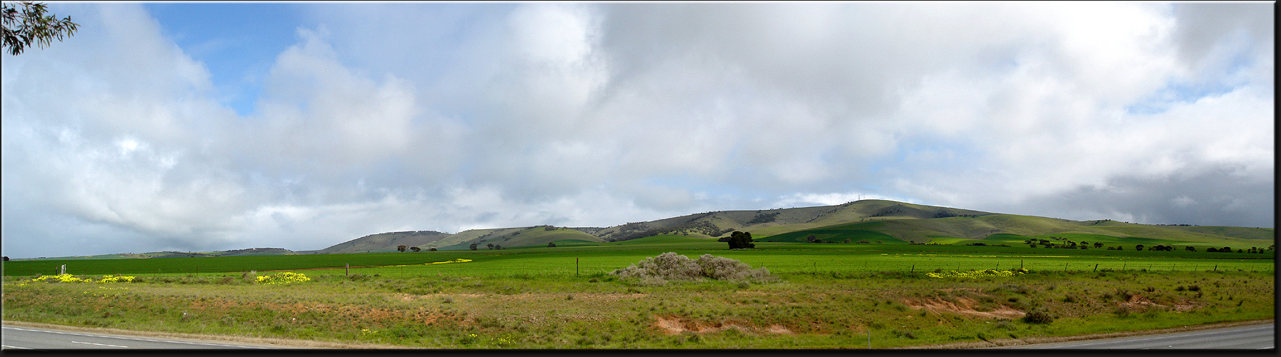 Landscape near Bumbunga Lake