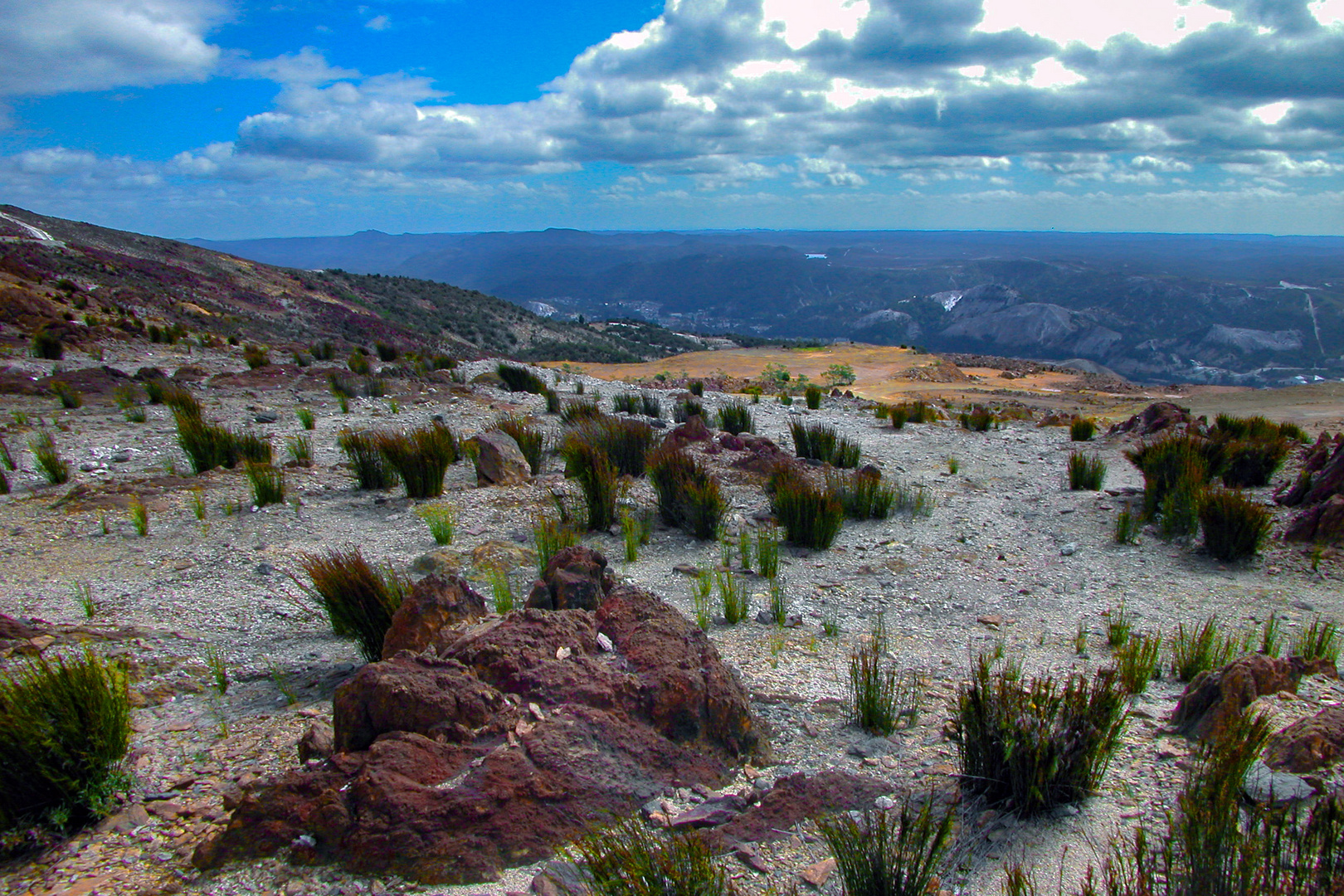 Landscape near Rosebery