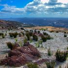 Landscape near Rosebery