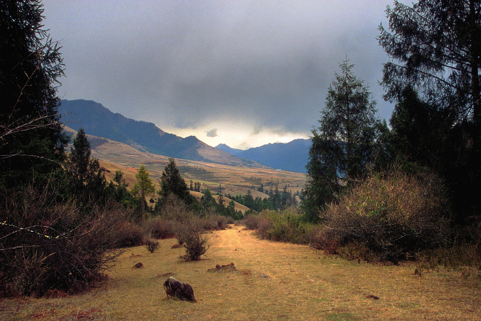 Landscape near Ujen Chholeng in Bumthang