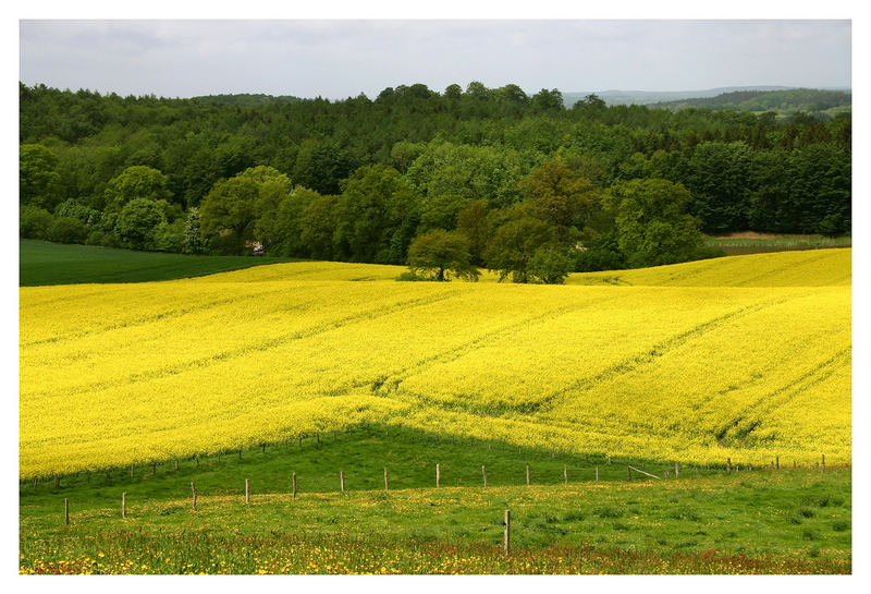 ***landscape - Northern Germany***