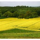 ***landscape - Northern Germany***