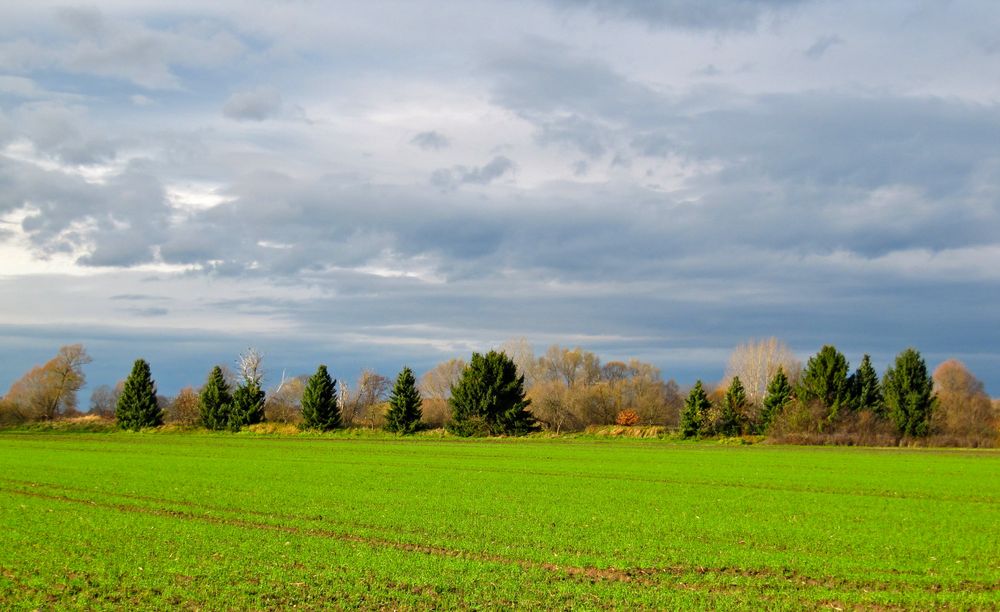 Landscape November 2011 von Judith Liss Photography