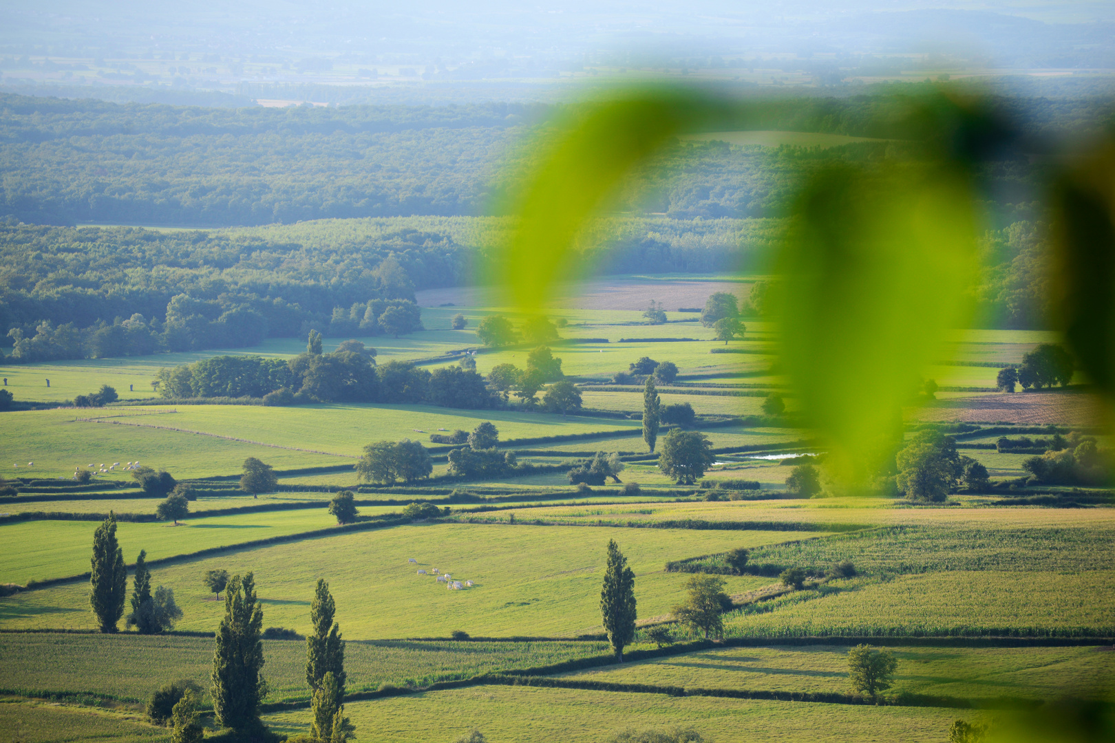 Landscape of Burgundy