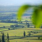 Landscape of Burgundy