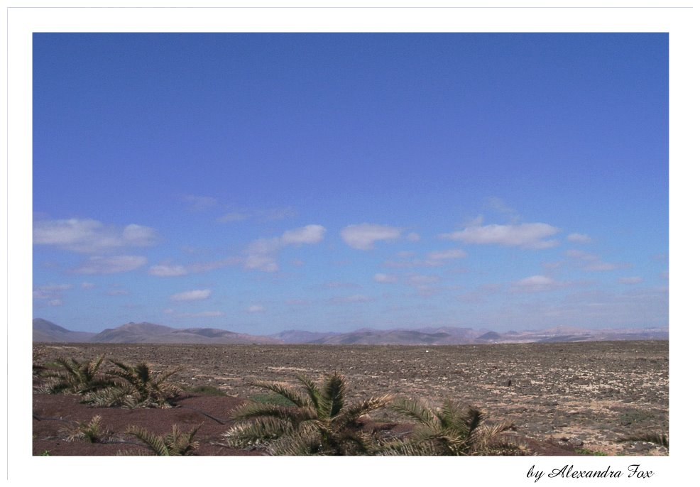 . landscape of Fuerteventura .