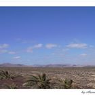 . landscape of Fuerteventura .