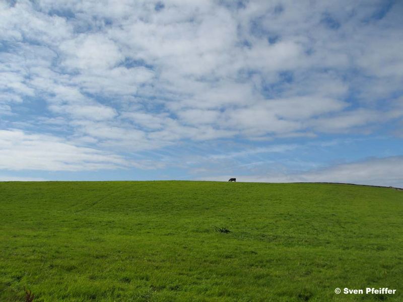 Landscape of Ireland II