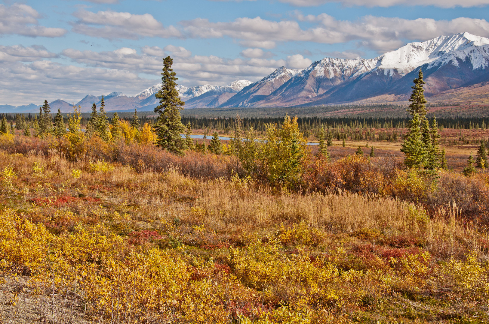 Landscape of the Alaska Range