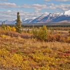 Landscape of the Alaska Range