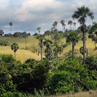 Landscape on Rinca island