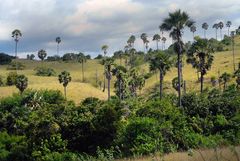 Landscape on Rinca island