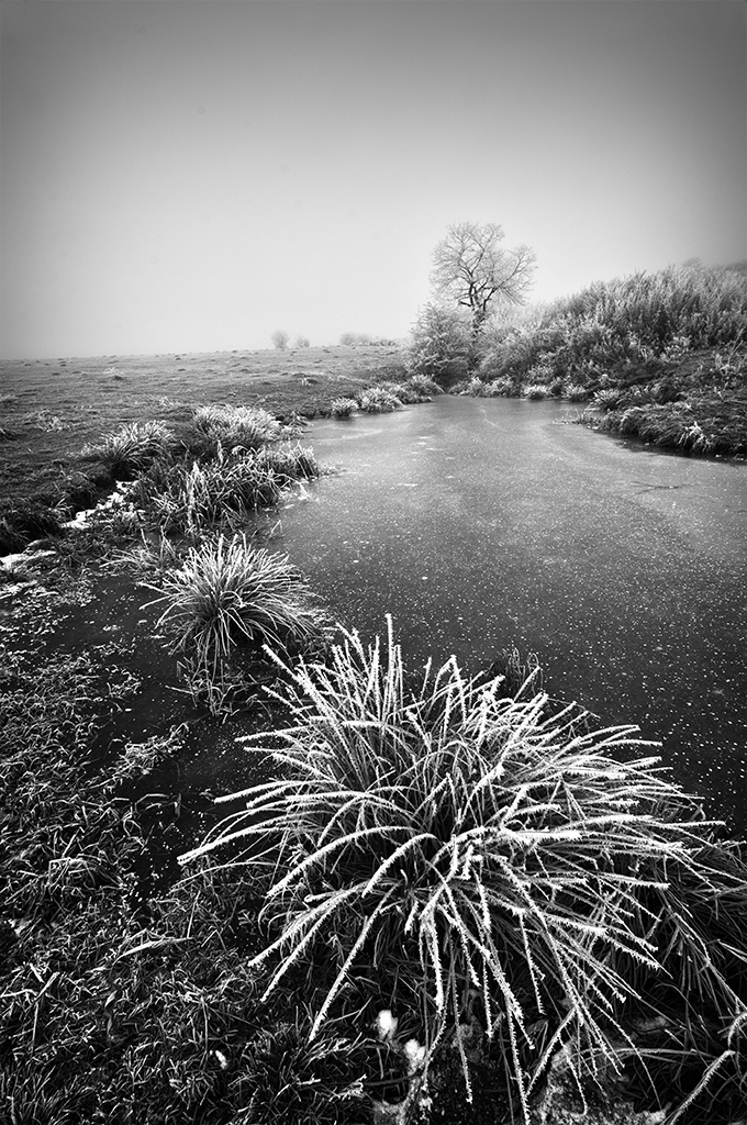 Landscape on the lake