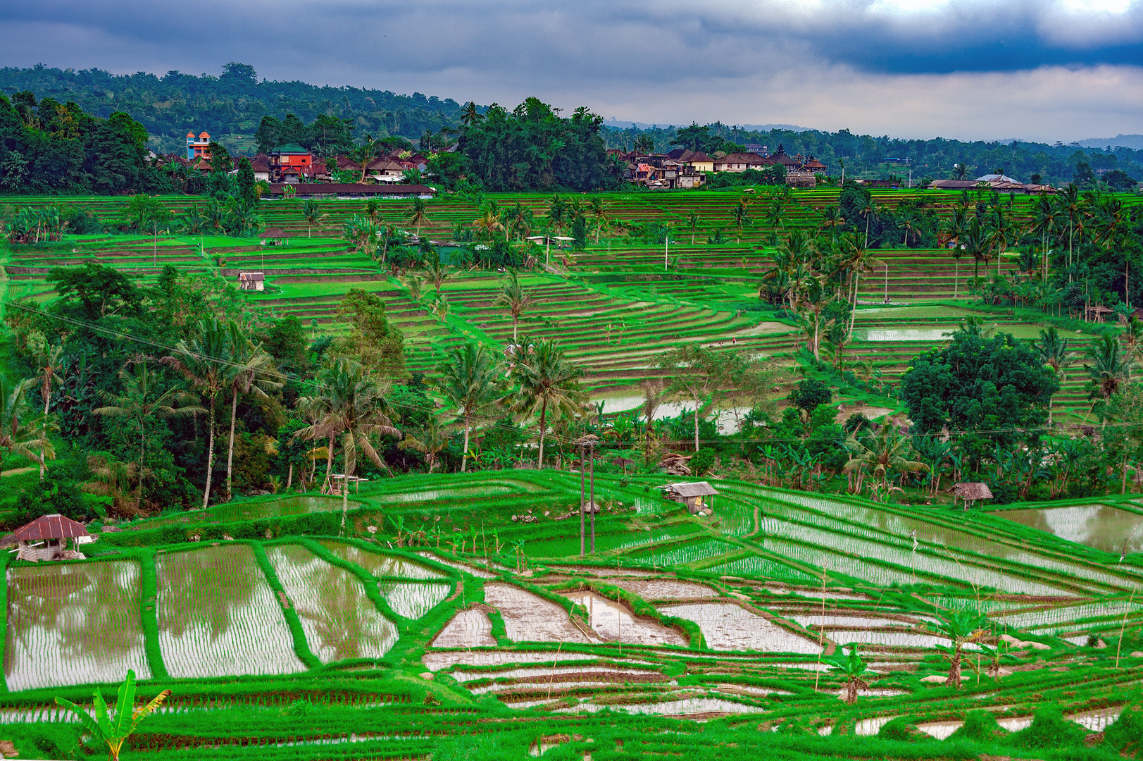 Landscape over Jatiluwih rice terrace