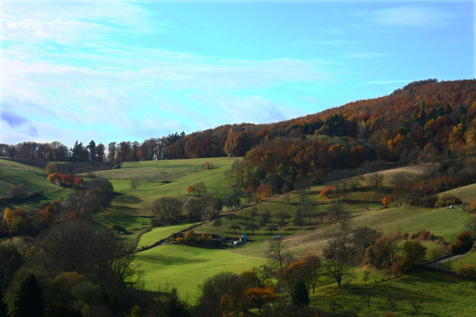 Landscape Painting