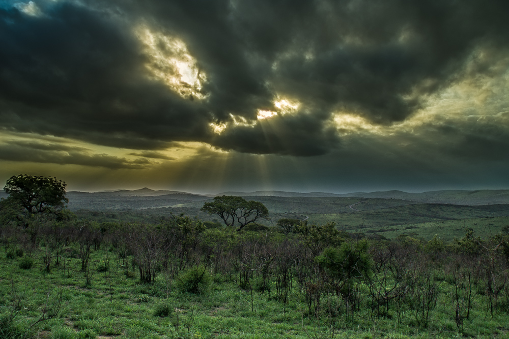 Landscape - South Africa