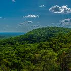 Landscape @ Tolmer Falls