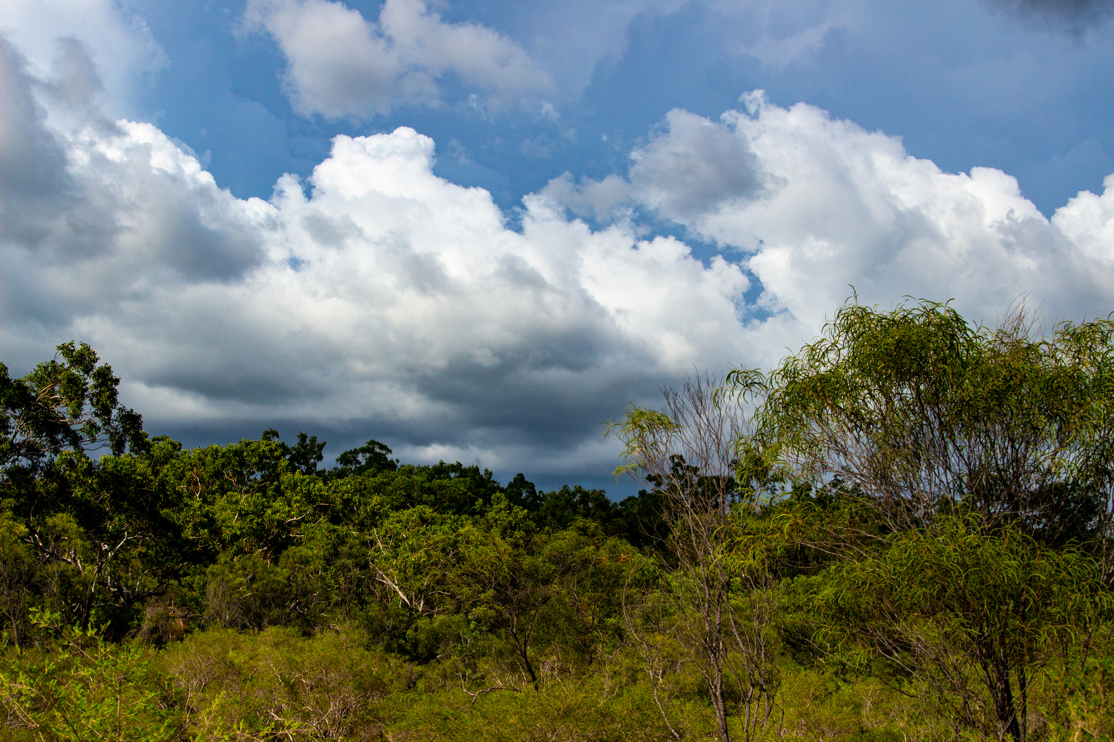 Landscape @ Tolmer Falls