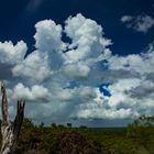 Landscape @ Tolmer Falls