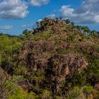 Landscape @ Tolmer Falls