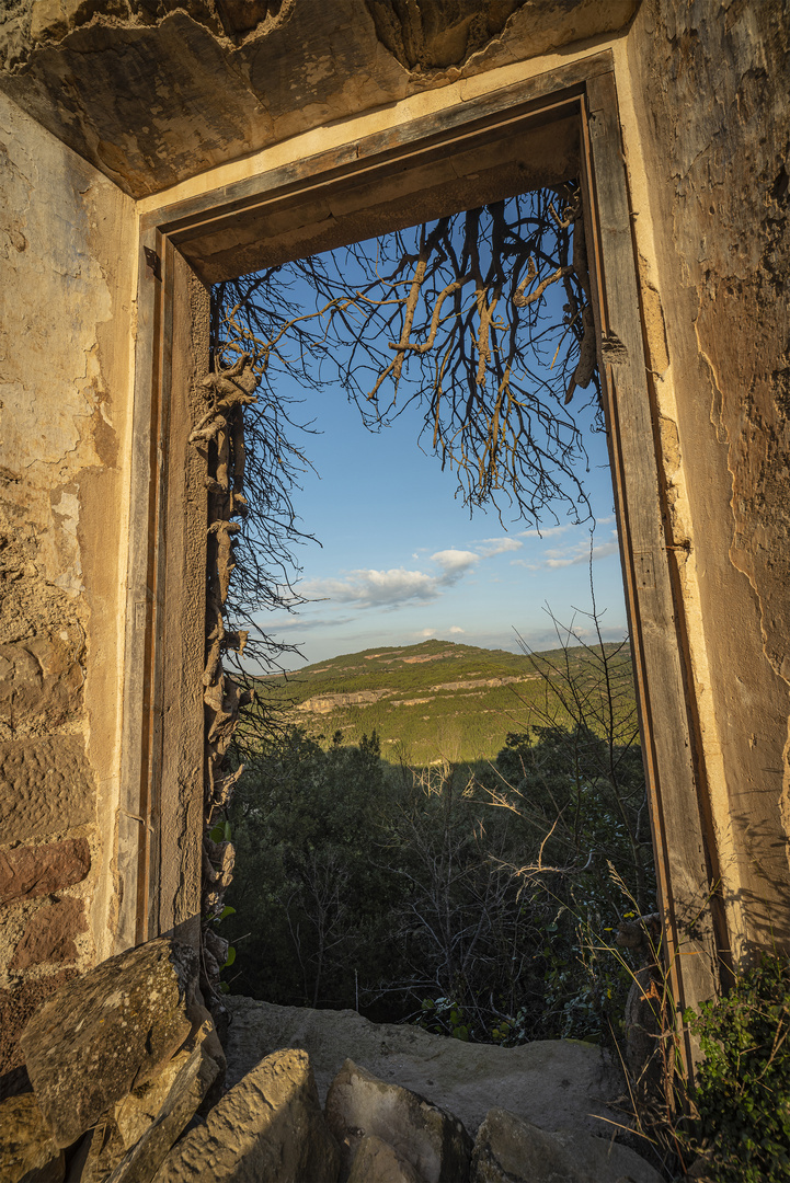 Landscape trough the Window.