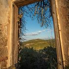 Landscape trough the Window.