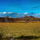 Landscape vista along the highway