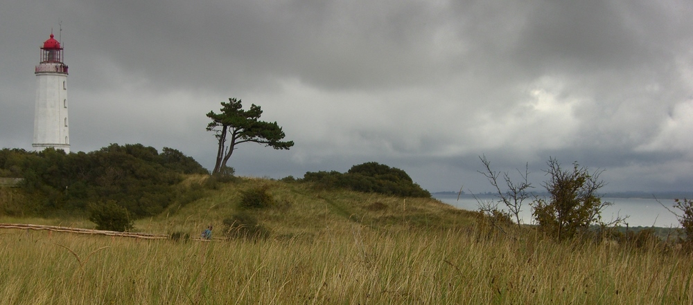 Landscape with lighthouse on the island of Hiddensee