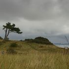 Landscape with lighthouse on the island of Hiddensee