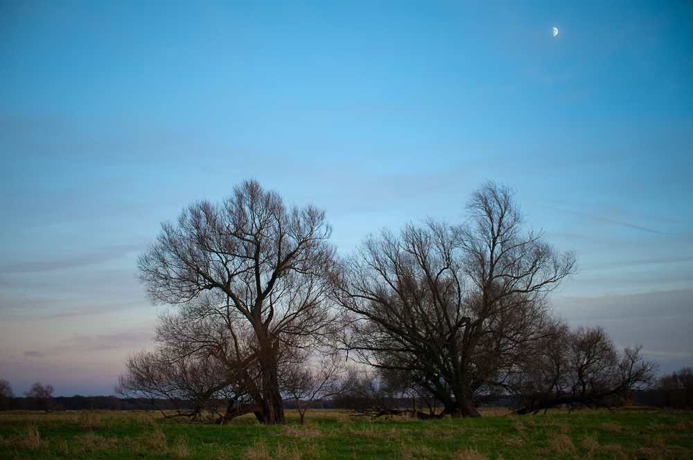 landscape with moon