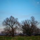 landscape with moon